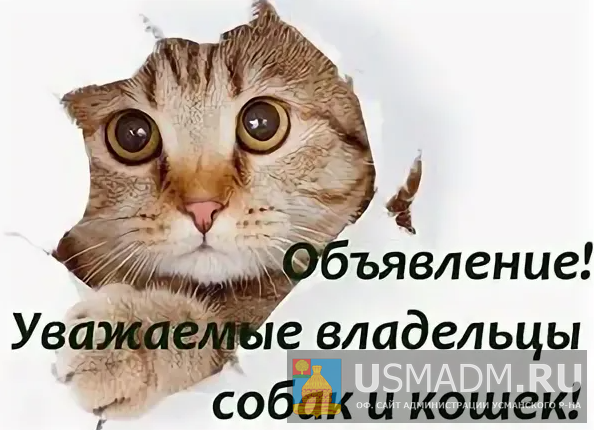 Уважаемые владельцы собак и кошек! Уважаемые владельцы собак и кошек!